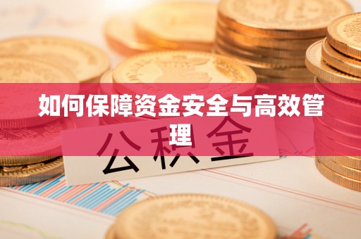 河北如何保障资金安全与高效管理