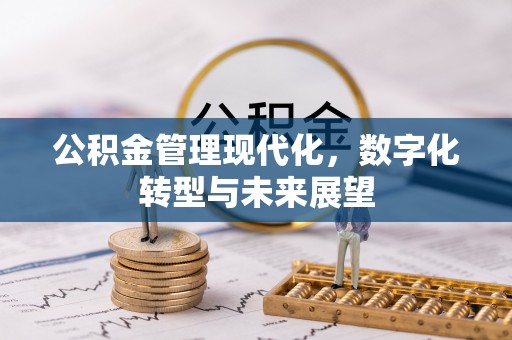 河北公积金管理现代化，数字化转型与未来展望