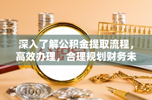 河北深入了解公积金提取流程，高效办理，合理规划财务未来