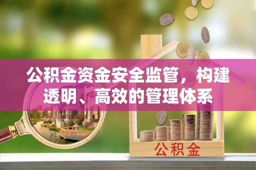 河北公积金资金安全监管，构建透明、高效的管理体系