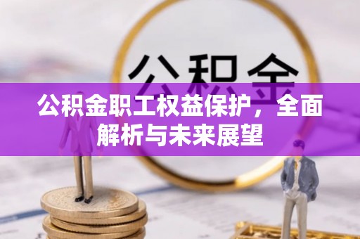河北公积金职工权益保护，全面解析与未来展望