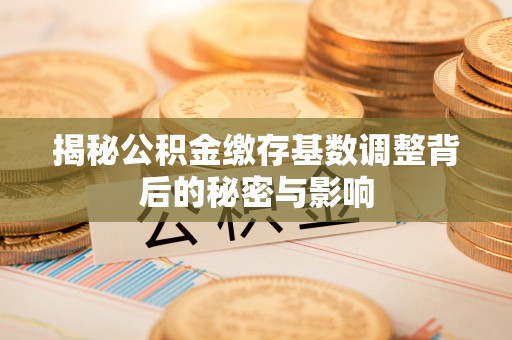 河北揭秘公积金缴存基数调整背后的秘密与影响