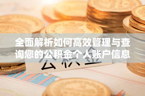 河北全面解析如何高效管理与查询您的公积金个人账户信息