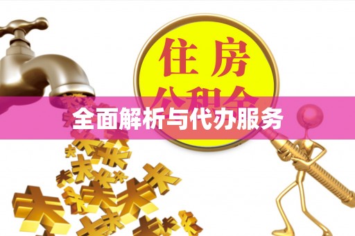 河北全面解析与代办服务