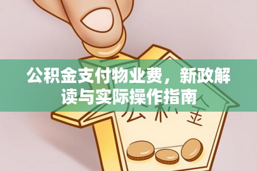 河北公积金支付物业费，新政解读与实际操作指南