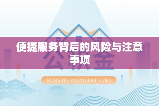 河北便捷服务背后的风险与注意事项