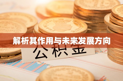 河北解析其作用与未来发展方向