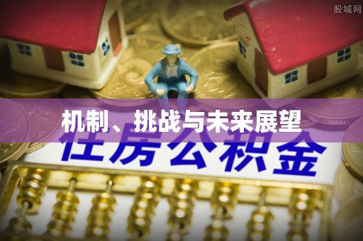 河北机制、挑战与未来展望